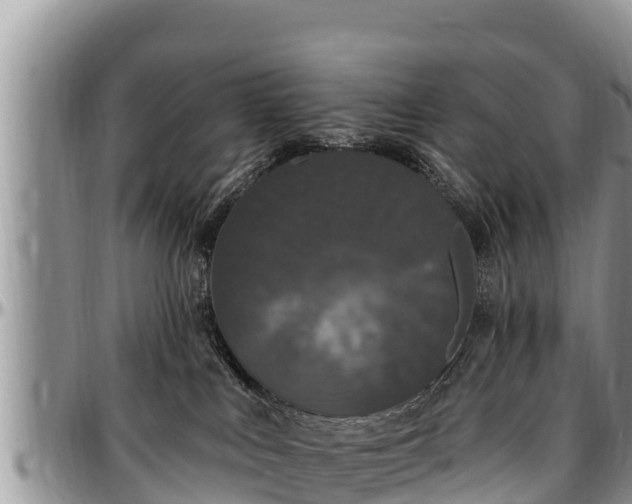 X0000097510043200802291628