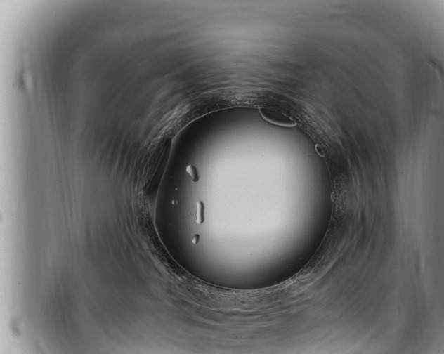 X0000097510044200802291628