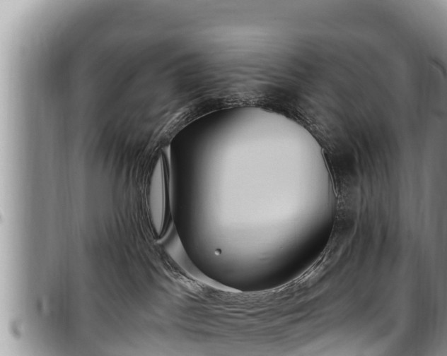 X0000097510045200802291628