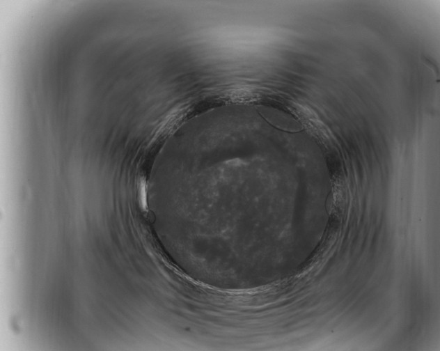 X0000097510046200802291627