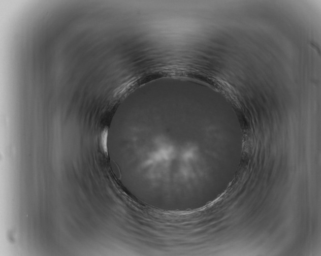 X0000097510047200802291627