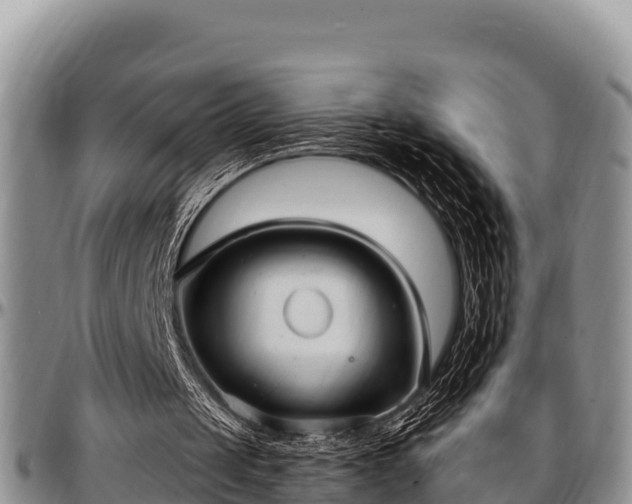 X0000097510049200802291627