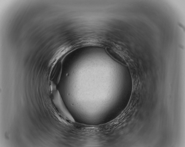 X0000097510050200802291627