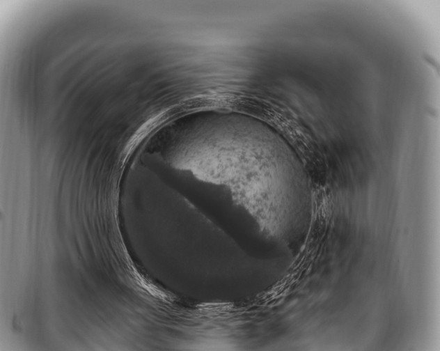 X0000097510051200802291627