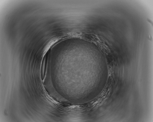 X0000097510052200802291627