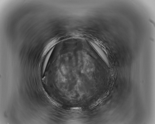 X0000097510053200802291627