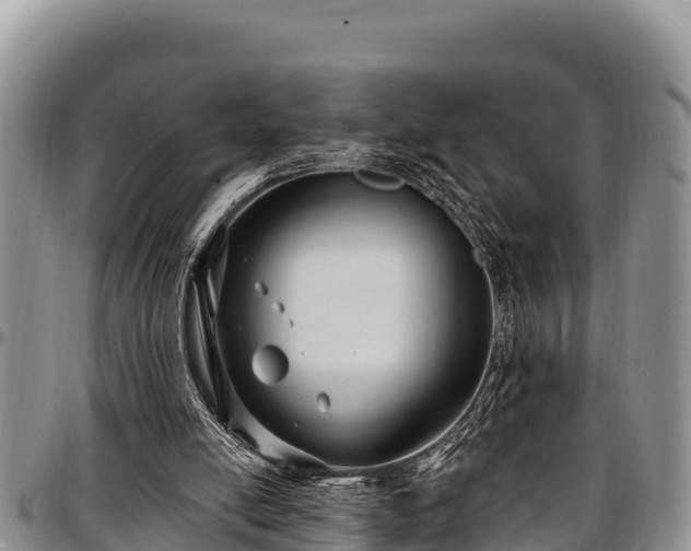 X0000097510054200802291627