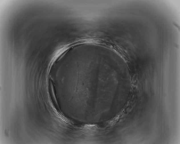 X0000097510055200802291627