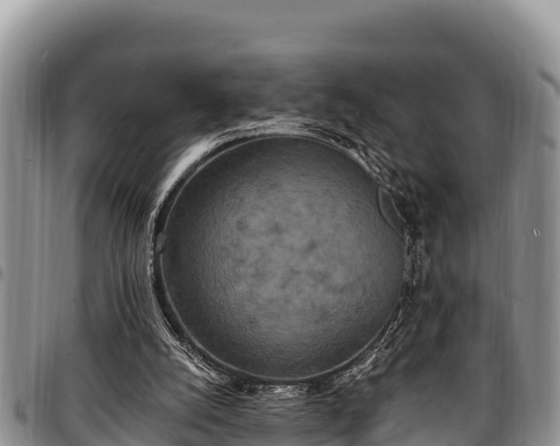 X0000097510056200802291627