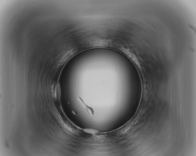 X0000097510057200802291627