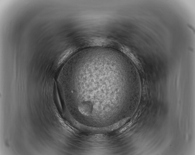 X0000097510058200802291627