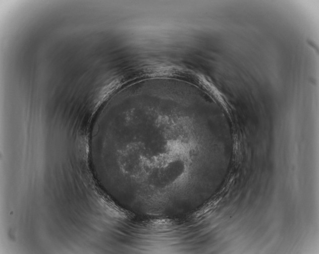 X0000097510059200802291627