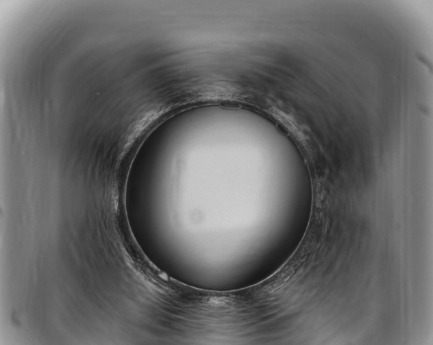 X0000097510060200802291627