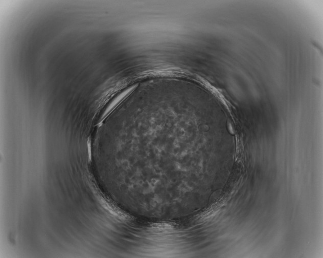 X0000097510061200802291627