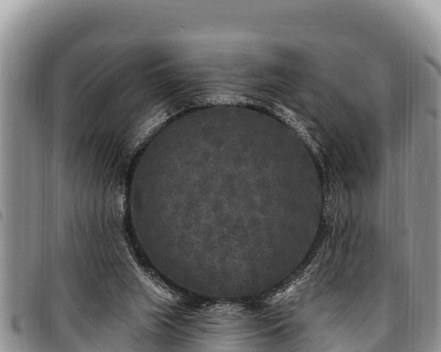 X0000097510063200802291627