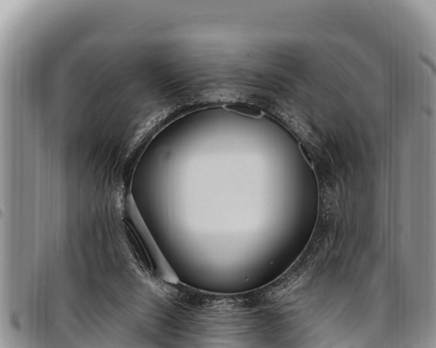 X0000097510064200802291627