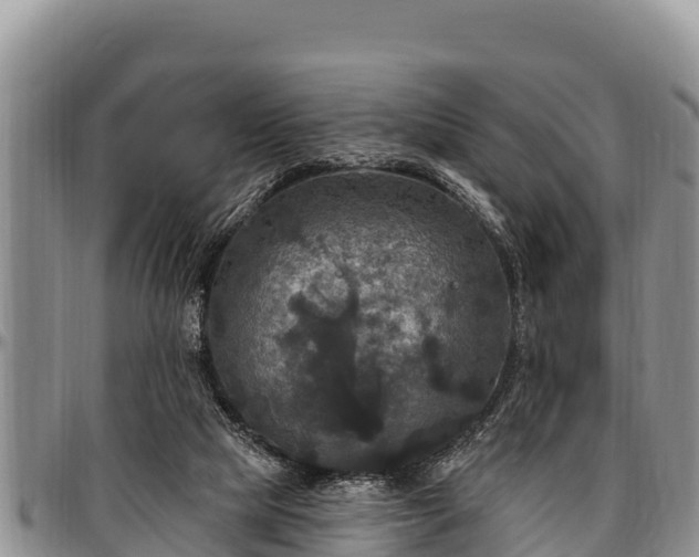 X0000097510065200802291627