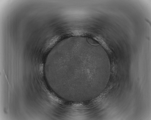 X0000097510066200802291627