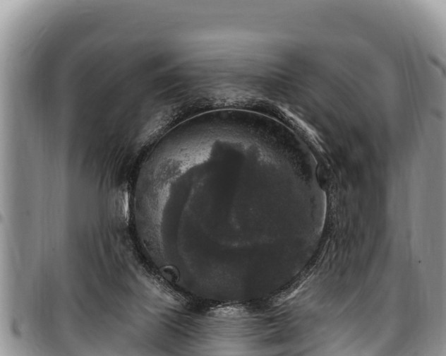 X0000097510067200802291627