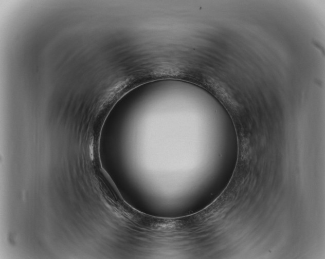 X0000097510068200802291627