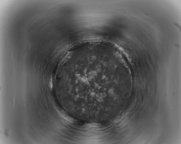 X0000097510069200802291627