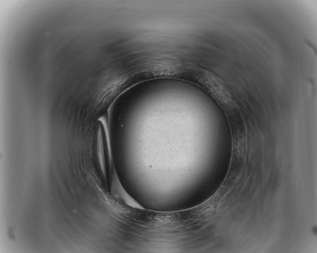 X0000097510070200802291627