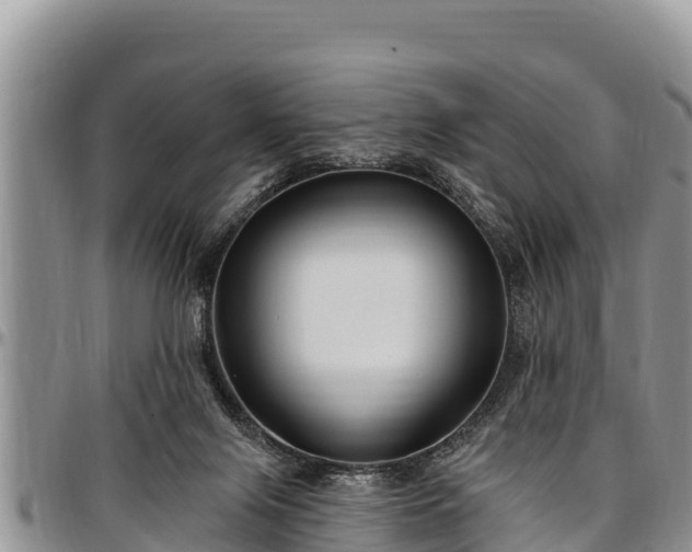 X0000097510071200802291627