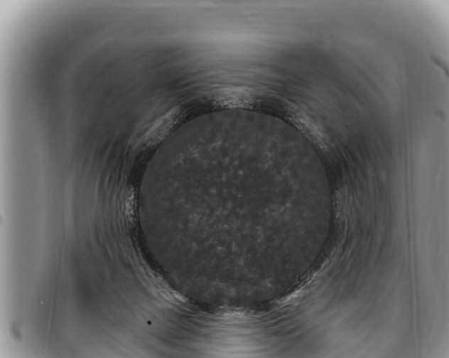 X0000097510073200802291627