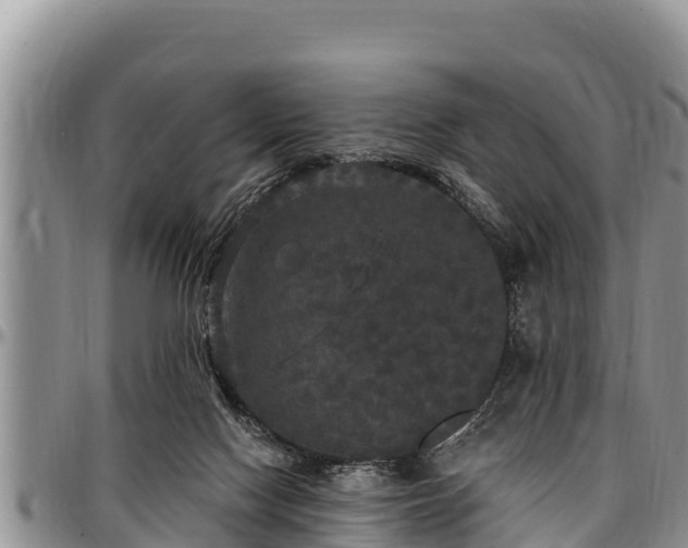 X0000097510074200802291627