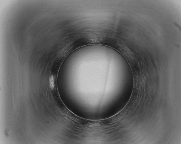 X0000097510075200802291627