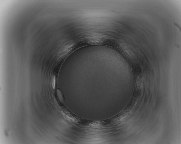 X0000097510076200802291627