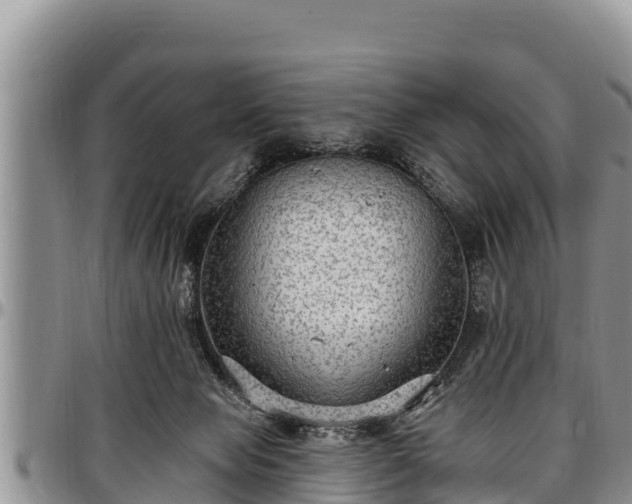 X0000097510077200802291627