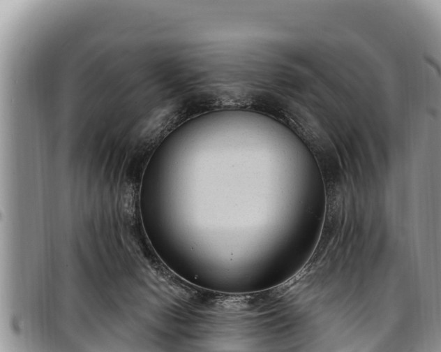 X0000097510078200802291627