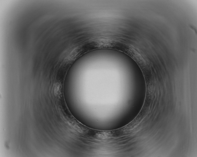 X0000097510079200802291627