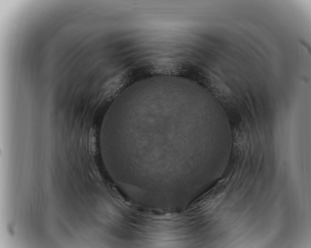 X0000097510080200802291627