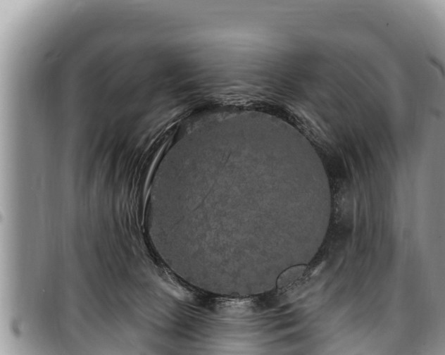 X0000097510081200802291627