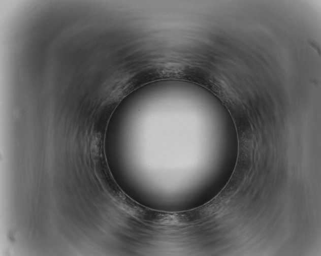 X0000097510083200802291627