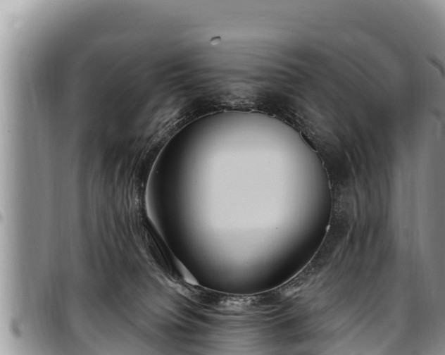 X0000097510084200802291627