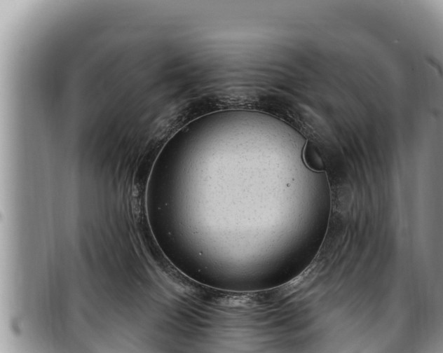 X0000097510086200802291627