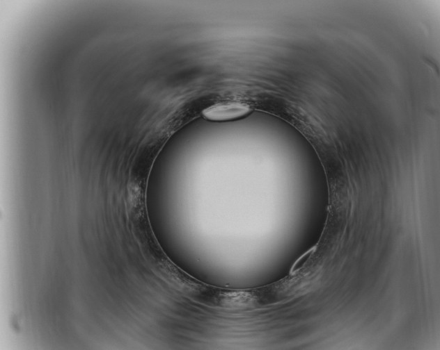 X0000097510087200802291627