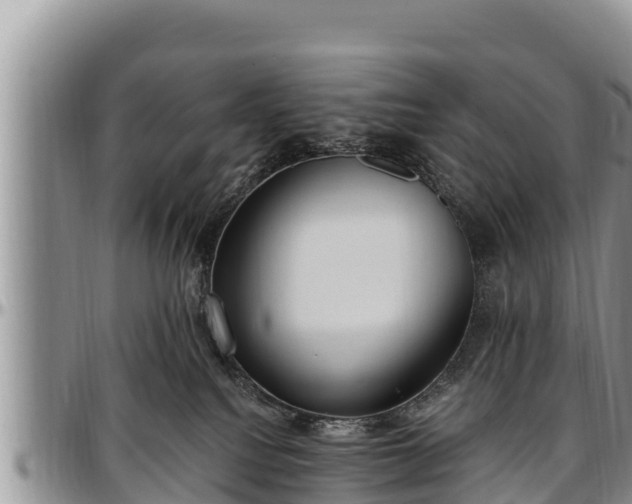 X0000097510088200802291627