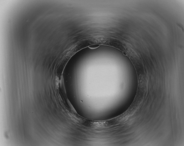 X0000097510089200802291627