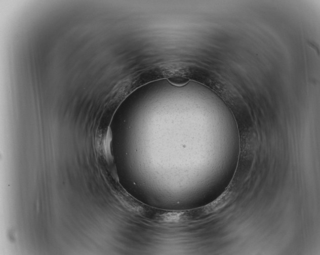 X0000097510090200802291627