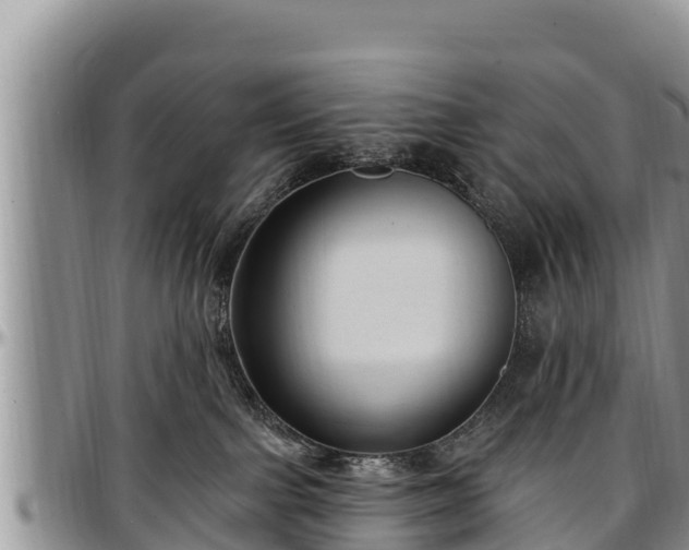 X0000097510091200802291627