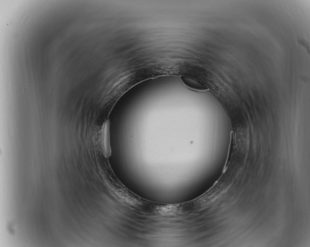 X0000097510092200802291627