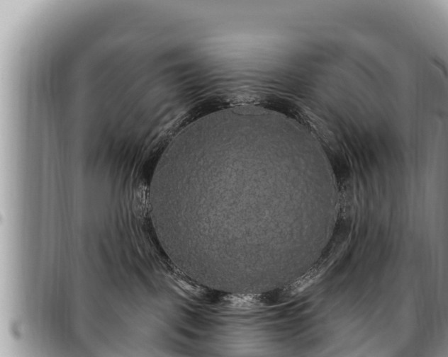 X0000097510093200802291627