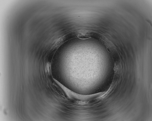 X0000097510094200802291627