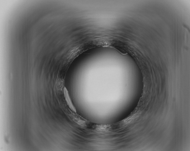 X0000097510096200802291627