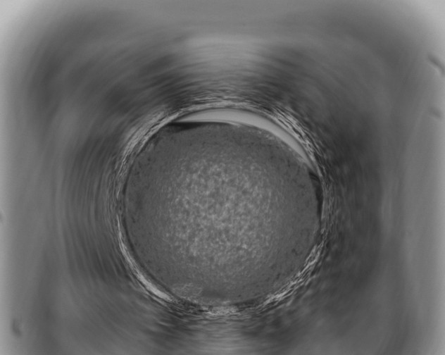 X0000097510097200802291627