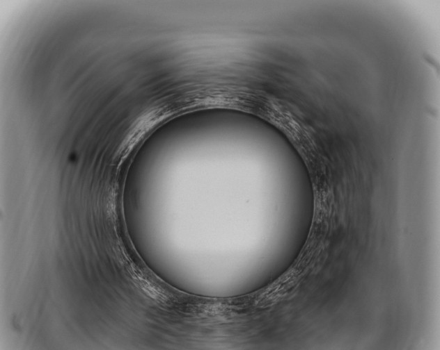 X0000097510098200802291627